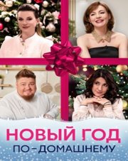 Новый год по-домашнему   (, 2023)